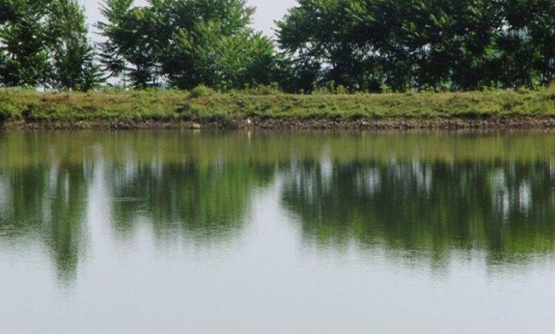 تامین ۲۰ درصد آب شالیزارهای گیلان توسط آبندان‌ها