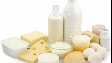 میزان تولیدات دامی دراستان خراسان رضوی