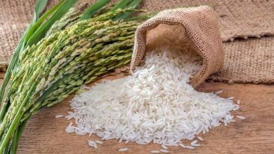 واردات ۱.۳ میلیون تن برنج به کشور طی ۱۰ ماه