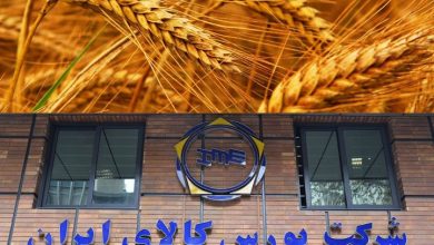 کارکرد ابزارهای مالی بورس کالا برای احیای بخش کشاورزی تشریح شد