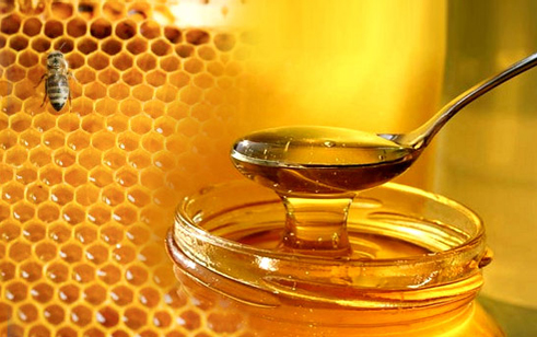 عسل ربیع