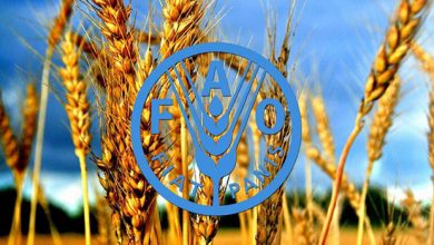 استفاده از فناوری اطلاعات برای آمارگیری کشاورزی