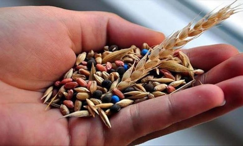 بذر و گیاهان همراه مسافران خروجی کنترل می‌شود