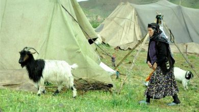 برندسازی محصولات سالم و پاک مناطق عشایری چهارمحال و بختیاری