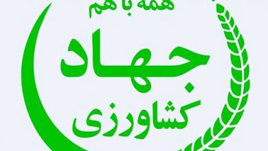 جهاد کشاورزی فارس کاندید دریافت تقدیر نامه چهار ستاره تعالی