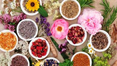 صادرات ۴۵۰ میلیون دلاری گیاهان دارویی