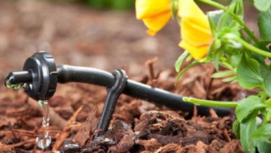 صرفه‌جویی ۴۹۲میلیون مترمکعبی مصرف آب در بخش کشاورزی