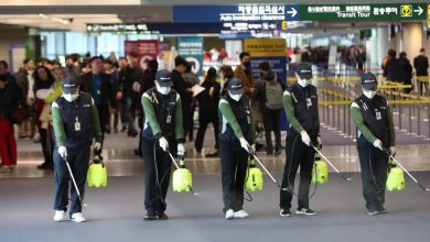 فائو صدور بیانیه درباره ویروس کرونا و کره شمالی را تکذیب کرد