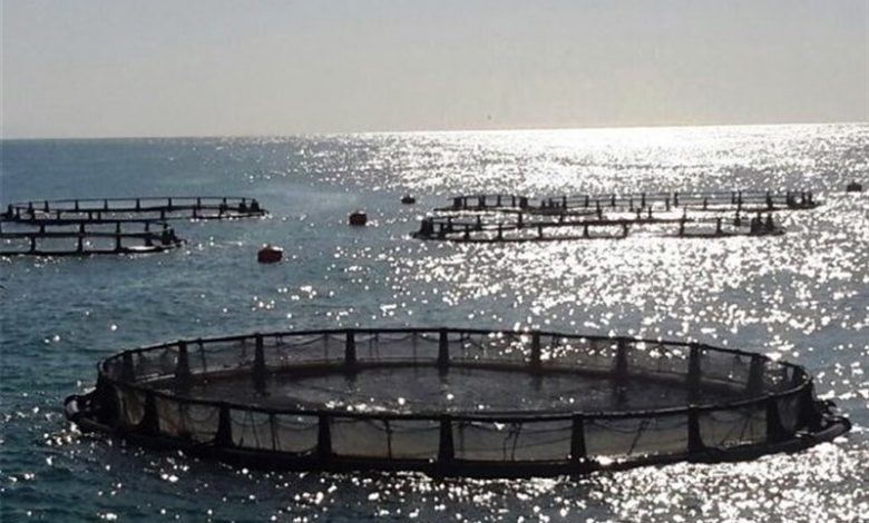 فراخوان جذب سرمایه‌گذار در شهرک‌های شیلاتی سراسر کشور