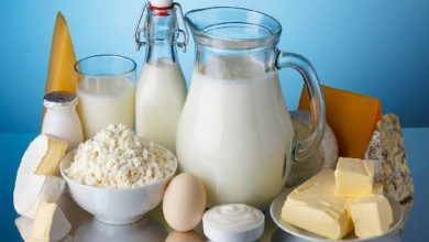 ماجرای آفلاتوکسین، مصرف لبنیات را ۲۰ درصد کاهش داد