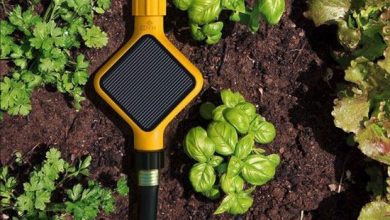 مصرف آب کشاورزی کمتر از ۷۰ درصد است/کم آبیاری در اکثر مناطق کشور