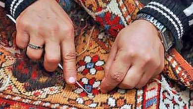 کارنامه دوساله تسهیلات اشتغال روستایی
