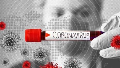 گزارشی از ابتلای دام‌ها به ویروس کرونا نداشتیم