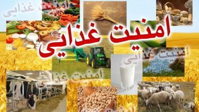 صیانت از امنیت غذایی کشور نیازمند تلاش همگانی است
