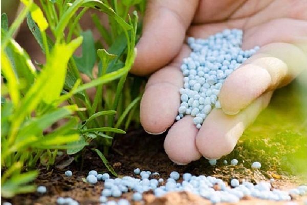 لزوم تدارک نهاده‌های مورد نیاز کشاورزان پیش از آغاز کشت بهاره