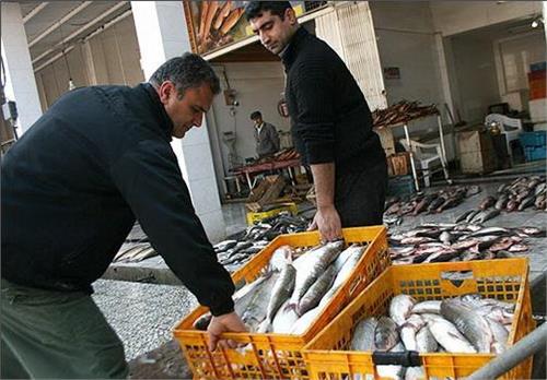 مردم از خرید گوشت، مرغ و ماهی فله‌ای خودداری کنند