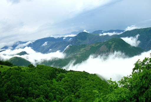 پوشش جنگل‌های طبیعی و دست‌کاشت کشور به ۱۴.۳ میلیون هکتار رسید