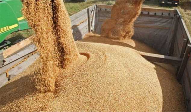 کمبودی در ذخایر استراتژیک نهاده‌های دامی نداریم