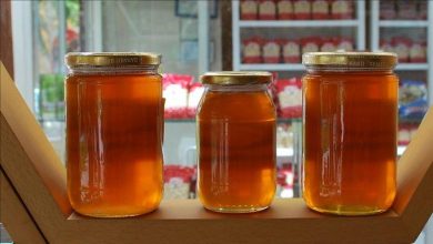 ۱۱۲ هزار تن عسل امسال در کشور تولید شد