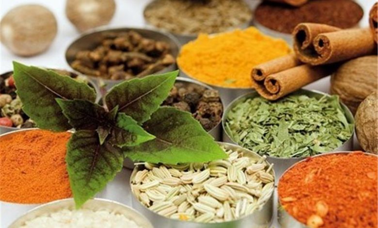 ممنوعیت مجوز برداشت از گیاهان دارویی