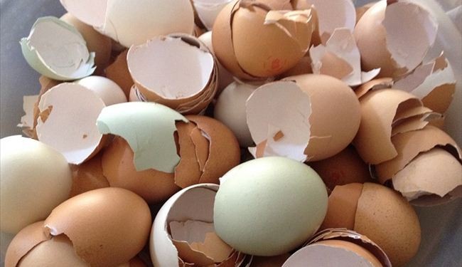 پوسته تخم‌مرغ باکیفیت، با مصرف افزودنی‌ها