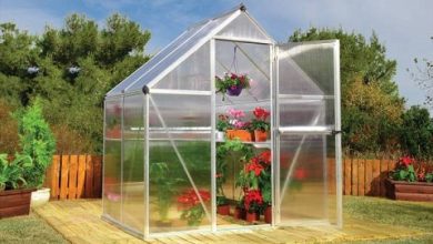 گلخانه‌های پشت بامی در بام ایران