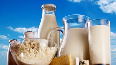 صادرات بالغ بر 3300 تن محصولات لبنی استان زنجان در سال 1398