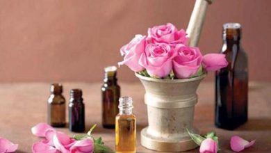 نخستین جشنواره گل محمدی و گلاب در خمین برگزار شد