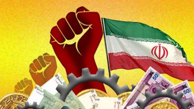 پیازها در مزارع خاک می‌شود، موزها در گمرک می‌گندد!