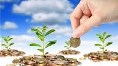 اهمیت ایجاد مشوق‌های سرمایه گذاری در بخش کشاورزی