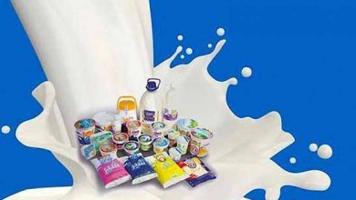 بایدها و نبایدهای قیمت‌گذاری محصولات لبنی