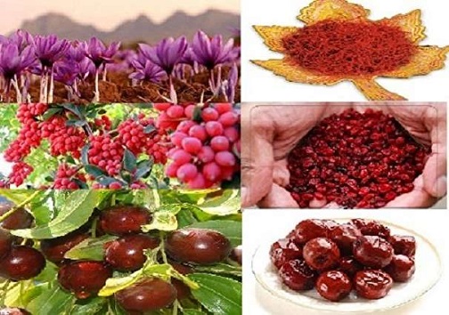تولیدات کشاورزی خراسان جنوبی امسال چقدر خواهد شد؟