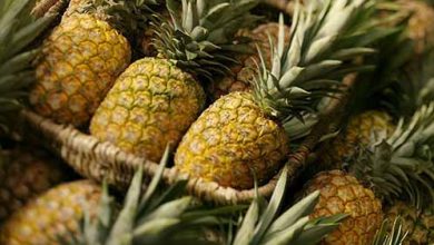 رسوب 300 تن محصول آناناس در گمرک تصمیمات یک شبه به وارد کننده آسیب می‌زند
