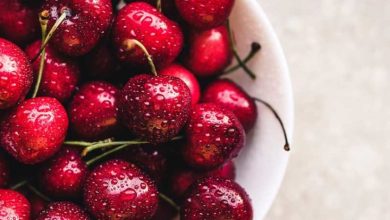 قیمت عجیب و غریب میوه‌های نوبرانه گیلاس ۱۴۸ هزار تومان!