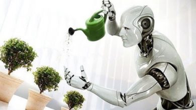 نقش IT را در کشاورزی پررنگ کنیم