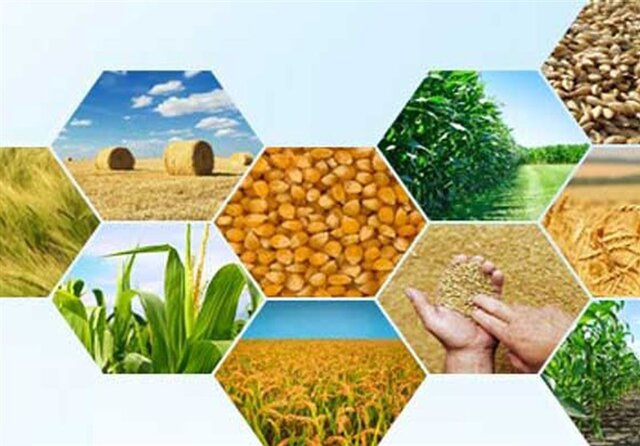 پیش‌بینی رشد 32 درصدی تولیدات کشاورزی کشور
