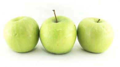 امسال بیش از 18000 تن سیب درصحنه تولید می‌شود