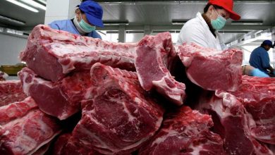 مازاد دام، تولید گوشت در سال آینده را با مشکل روبرو می‌کند