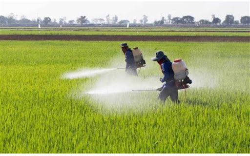 مصرف بی‌رویه سم در کشور به حداقل رسید