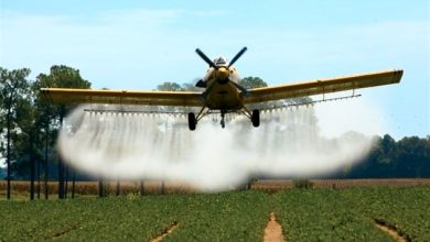 کاهش 80 درصدی مصرف سم در مازندران