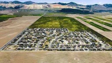 اصلی‌ترین فعالیت شرکت شهرک‌های کشاورزی چیست؟