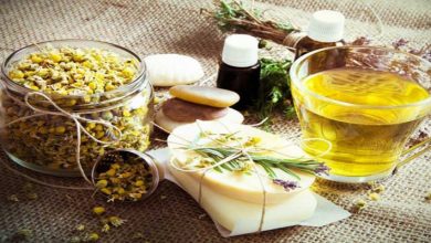 توسعه زنجیره فرآوری گیاهان دارویی اولویت دارد