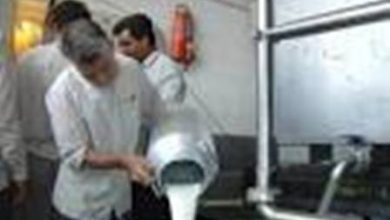 صادرات محصولات تولیدی اتحادیه دامداران چهارمحال و بختیاری به خارج از کشور