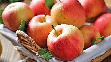 تعیین قیمت پایه خرید حمایتی سیب صنعتی و قیمت گوجه 11فرنگی