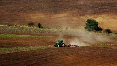 توصيه های هواشناسی کشاورزی از تاريخ 23 شهریور لغايت 26 شهریور ماه 99