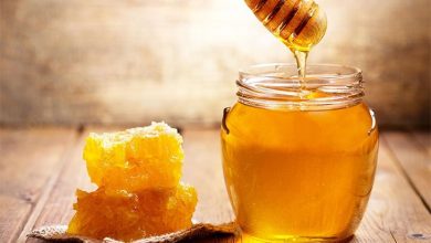 تولید 1800 تن عسل در بابل صادرات 1500 تنی