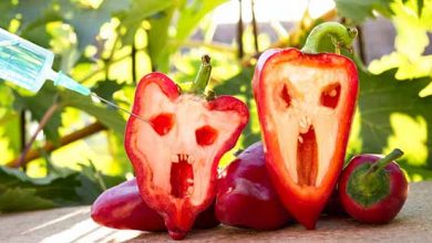 برنامه آمریکا برای وابسته‌سازی جهان از طریق تراریخته قانون برچسب‌زنی محصولات تراریخته اجرا نمی‌شود