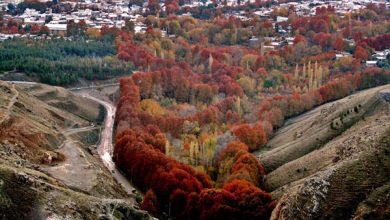 روستای دستجرده بخش دینور به عنوان روستای سالم کرمانشاه معرفی شد