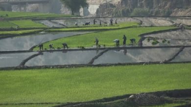 قدمت ۷۰ ساله "آبخیزداری اراضی کشاورزی" در دنیا