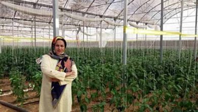 ماجرای جوان چهارمحالی که امروز خودش به تنهایی یک اداره کار است